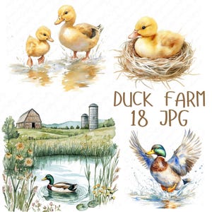 18 imágenes prediseñadas de granja de patos, patos de acuarela, lindas imágenes prediseñadas de patos, imágenes prediseñadas de animales de granja de acuarela para manualidades de papel, descarga digital JPG de alta calidad