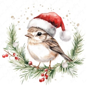 8 clipart de pássaros festivos de inverno em aquarela, pássaros de inverno em chapéus festivos, pássaro em aquarela com frutas vermelhas e pinheiros de inverno, JPG digital de alta qualidade