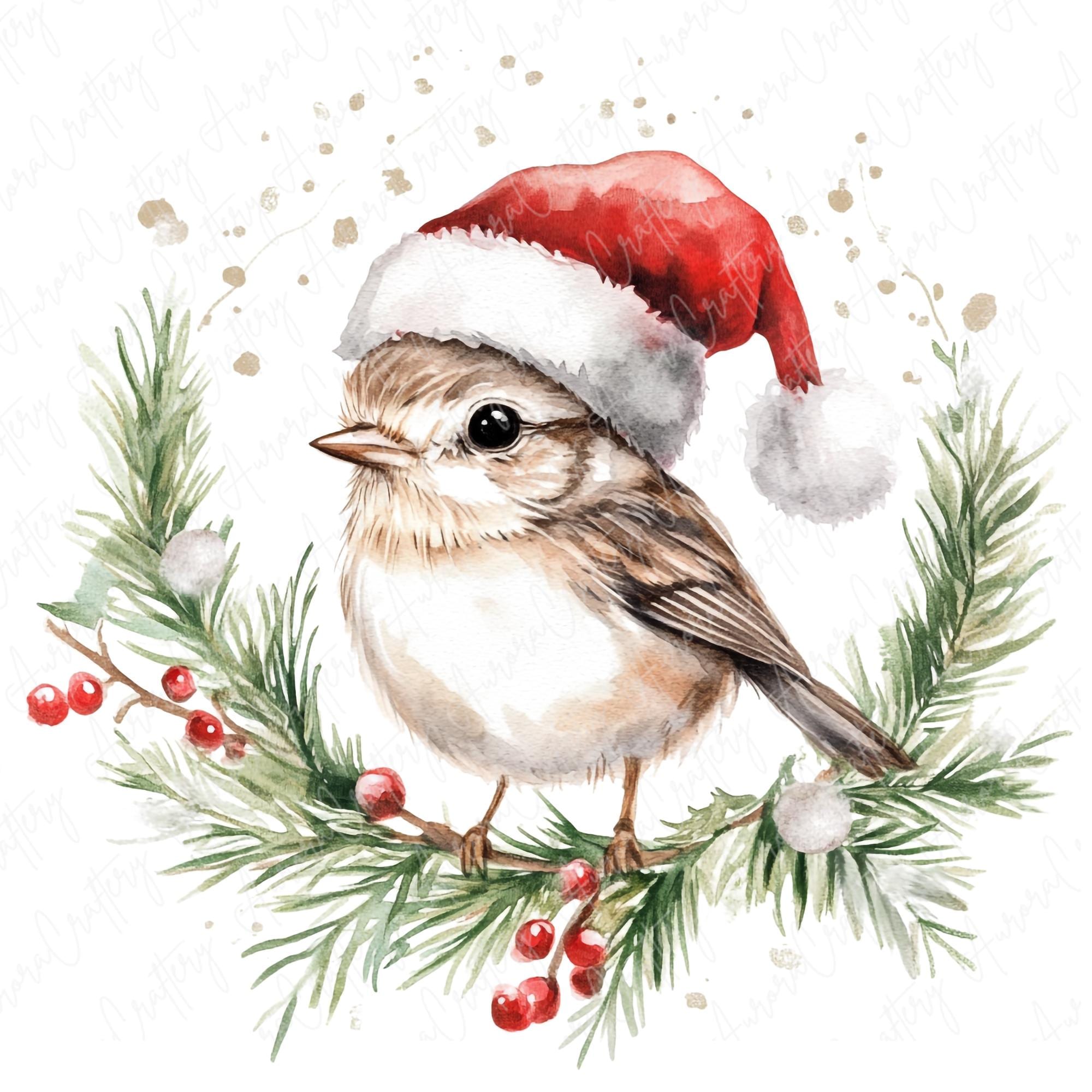 Birds of a Father  “Winter Holiday” Snowy Songbirds Deluxe Boxed Holiday Cards – Peter Pauper Press