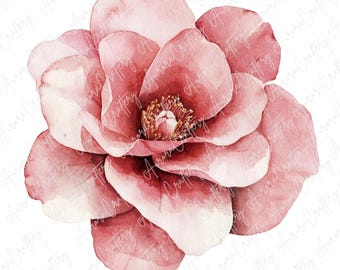 4 imágenes prediseñadas de camelia en acuarela, ilustraciones florales rosas y rojas, elegante arte botánico para manualidades de papel y scrapbooking, descarga en formato JPG