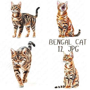 12 cliparts aquarelle chat du Bengale, chat du Bengale élégant, clipart chat réaliste, clipart race de chat pour autocollants et sublimation, JPG de haute qualité