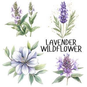 8 Lavendel botanische Blumen Clipart, elegante lila und grüne Aquarell Blumen, Wildblumen Clipart Papier Handwerk, hochwertiger JPG Download