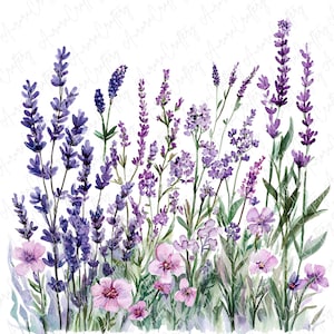 5 imágenes prediseñadas de flores silvestres de lavanda, ramo de flores moradas en acuarela y plantas botánicas, imágenes prediseñadas florales para manualidades imprimibles, descarga JPG de alta calidad