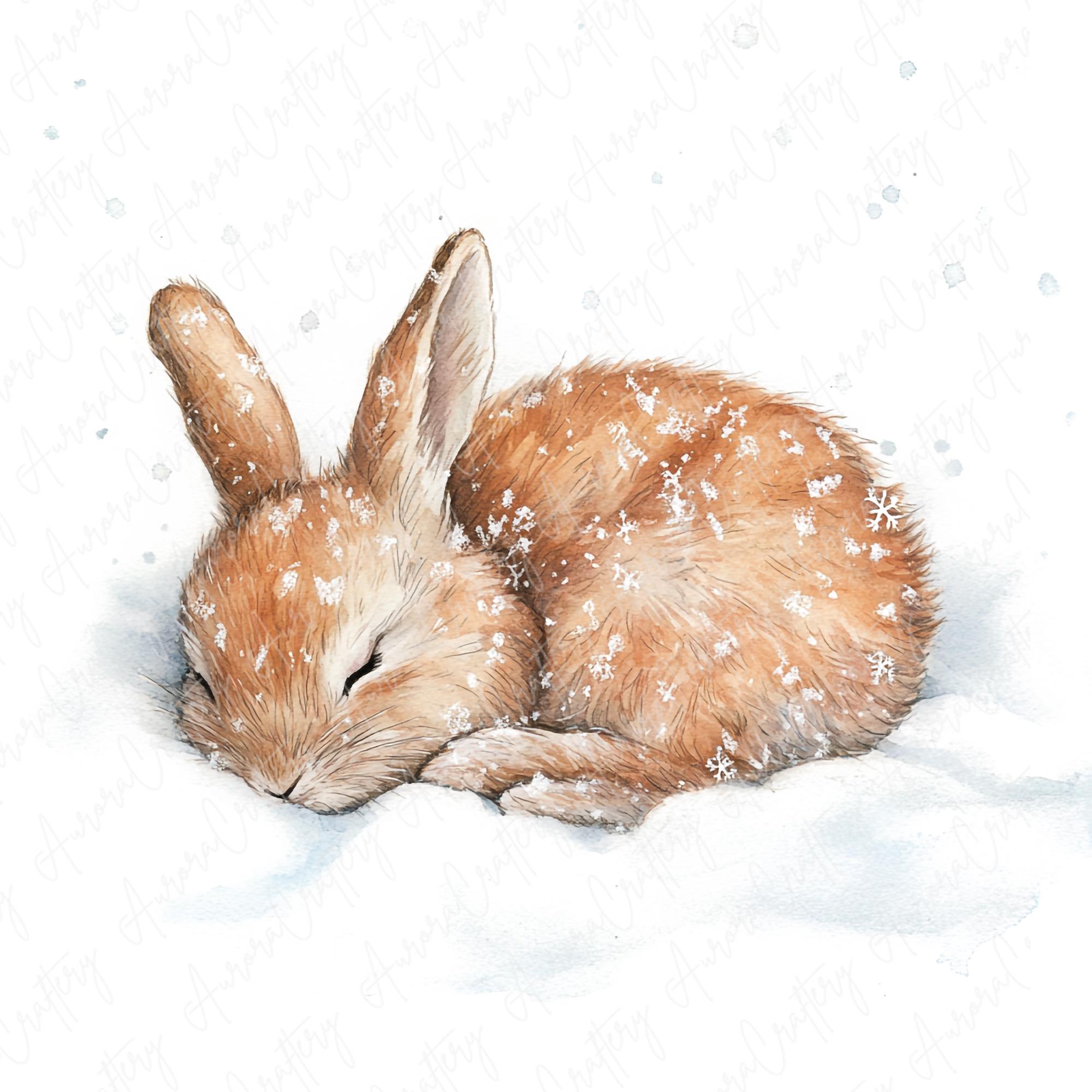 20 Watercolor Winter Rabbit Clipart, Cute Snowy Bunny Clipart, Cozy ...
