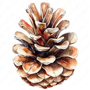 A collection of watercolor pinecones, capturing natural details and textures, perfect for fall and winter crafting, invitations, and seasonal decor.