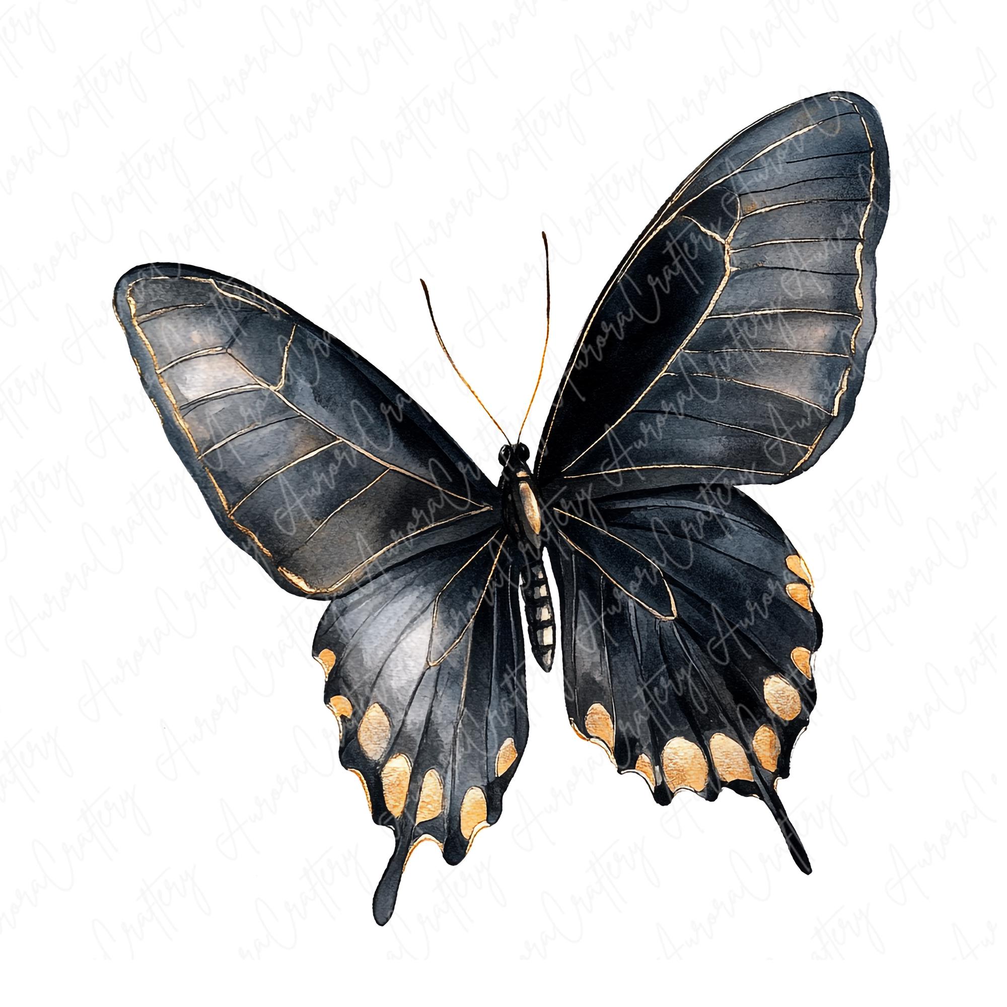 10 Watercolor Black Butterfly Clipart Elegant Dark Butterfly