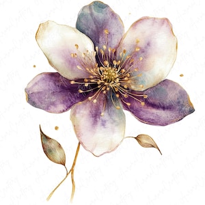 Paquete de 9 imágenes prediseñadas de acuarela de flores de otoño con diseño abstracto de huerto y cosecha, flores de otoño, JPG de alta calidad, descarga instantánea, imágenes prediseñadas imprimibles