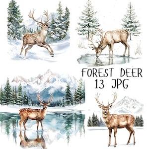 13 Clipart aquarelle de cerf de forêt, clipart bois d'hiver, neige d'hiver de cerf, artisanat des cliparts imprimable des bois, téléchargement JPG de haute qualité