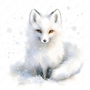 9 Watercolor Arctic Fox Clipart, Cute Winter Fox Clipart, White Fox Clipart in Snow, Winter Animal Clipart Crafts, High Quality JPG Download
