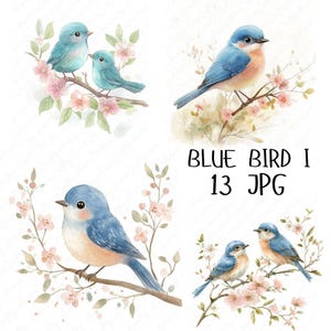 13 Clipart oiseau bleu aquarelle, clipart oiseau bleu printemps, Clipart oiseau floral, clipart chambre d'animaux des bois, téléchargement JPG haute qualité
