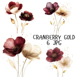 8 Aquarell Cranberry Gold Blumen Clipart, tiefrote und goldene Blüten, digitale Blumenkunst für Papierhandwerk, hochwertiger JPG Download