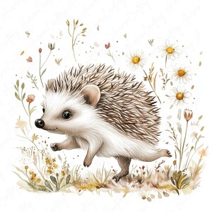 A collection of 9 watercolor hedgehog clipart images, featuring hedgehogs in floral woodland settings, perfect for nursery decor and woodland-themed projects.
