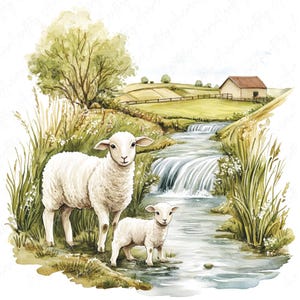May include: A watercolor painting of a mother sheep and her lamb standing by a stream in a rural setting. The sheep are white and fluffy, and the stream is flowing over rocks and surrounded by green grass and wildflowers.