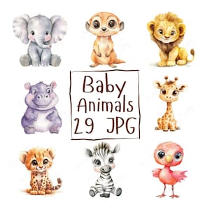 29 Clipart di cuccioli di animali ad acquerello / Clipart di simpatici animali della giungla, Clipart di animali della giungla / Download digitale JPG di alta qualità