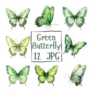 12 aquarel groene vlinder clipart, vlinder clipart natuur clipart, groene en gele vlinder JPG, hoge kwaliteit JPG digitale download