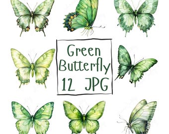 May include: Twelve watercolour illustrations of green butterflies with varying wing patterns. The butterflies are isolated on a white background. The text "Green Butterfly 12 JPG" is in a black box.