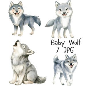 7 Aquarell niedlichen Wolf Welpen Clipart, Baby Wolf Clipart niedlichen Wolf, niedlichen Baby Tier Kindergarten Tier Clipart, hochwertige JPG digitaler Download