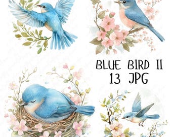 13 Watercolor Bluebird Clipart, Spring Floral Blue Bird Clipart, Woodland Animal Clipart, Cute Blue Bird Blossoms, High Quality JPG Download