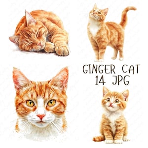 14 Clipart chat aquarelle gingembre, espiègles chats tigrés orange, clipart chat mignon, clipart animal de compagnie pour créations en papier, téléchargement JPG de haute qualité