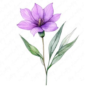 8 Fioletowy Kwiat Clipart, Lawenda i Fioletowe Kwiaty Wildflower Clipart, Elegancki Kwiatowy Clipart do Scrapbookingu i Rzemiosła, Wysokiej Jakości JPG