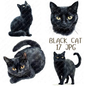 17 aquarel zwarte kat clipart, mystieke zwarte kat, donkere kat clipart, Witchy Cat clipart voor papier ambachten, hoogwaardige JPG-download