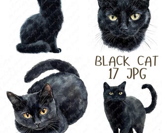 17 Aquarell schwarze Katze Clipart, mystische schwarze Katze, dunkle Katze Clipart, witchy Katze Clipart für Papierhandwerk, hochwertiger JPG Download