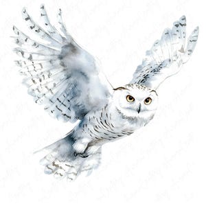7 clipart hiver harfang des neiges aquarelle, clipart hibou blanc d'hiver, clipart animaux hiver des bois, animaux de la forêt, JPG de haute qualité