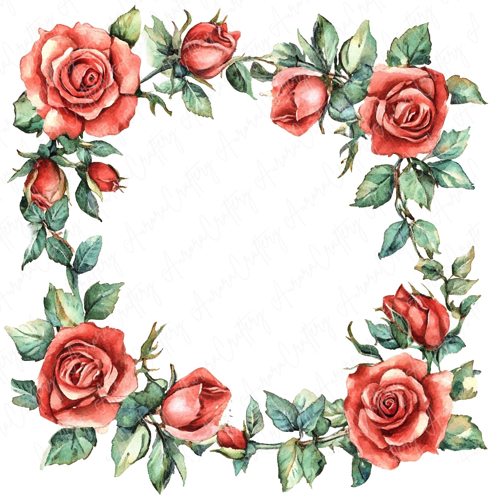 12 Watercolor Rose Frame Clipart, Valentine's Red Roses Square Frames ...