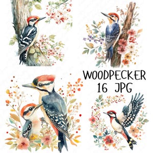 16 Aquarell Specht Clipart, Waldvogel Clipart, Blumen Specht Kunst, Natur inspirierte Wildtiere Clipart, hochwertige JPG Download