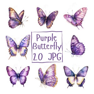 20 Watercolor Purple Butterfly Clipart, Purple and Gold Butterfly JPG, Elegant Butterfly for Paper Crafts, High Quality JPG Digital Download