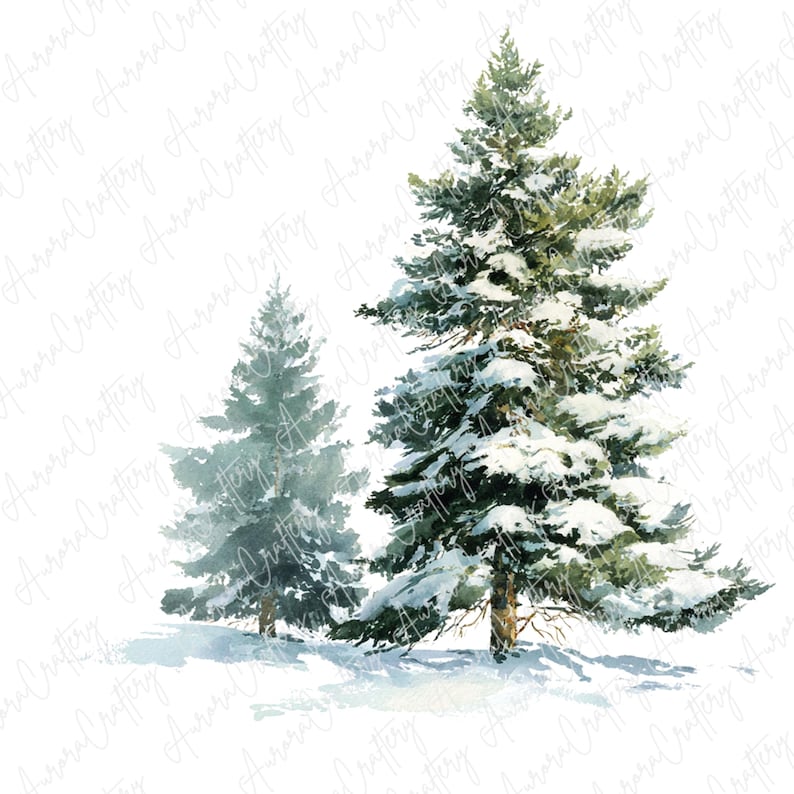 14 Watercolor Snowy Pine Tree Clipart, Winter Forest Trees for Holiday ...