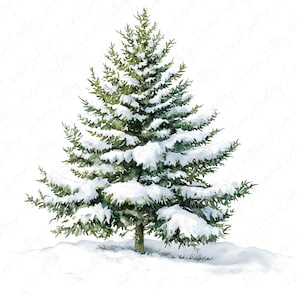 7 Clipart di alberi invernali verdi acquerellati, pini innevati, Clipart di foreste invernali, Clipart di carta per lavoretti invernali, Download di JPG di alta qualità