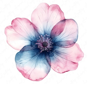 5 aquarel ijzig roze bloemen clipart, blauwe en roze bloem clipart, abstracte bloemen afdrukbare clipart, hoogwaardige JPG-download
