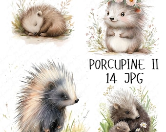 14 Watercolor Porcupine Clipart, Woodland Porcupine, Cute Forest Animal Clipart, Rustic Porcupine Nursery Clipart, High Quality JPG Download