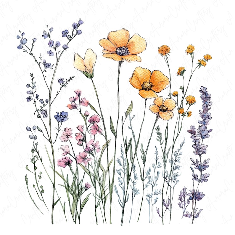 Watercolor ink wildflowers clipart image file JPG, featuring delicate botanical flower designs with hand-drawn ink accents, perfect for creative projects like wedding invitations and scrapbooking