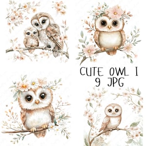 9 imágenes prediseñadas de búhos de acuarela, imágenes prediseñadas de búhos del bosque y flores, linda familia de búhos, imágenes prediseñadas de animales rústicos para guardería, descarga en formato JPG de alta calidad