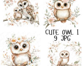 9 Clipart di gufi acquerellati, Clipart di gufi del bosco e fiori, Famiglia di gufi carini, Clipart di animali rustici per cameretta, Download JPG di alta qualità