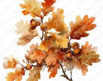 5 akvarell eklöv och ekollon clipart, höstskogsnaturillustrationer, rustikt höstlövverk för säsongsbetonade hantverk, högkvalitativ JPG