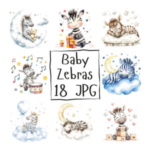 18 Baby Zebra Clipart niedlich Aquarell Zebra, Tier Kinderzimmer Clipart Baby Dusche Clipart niedlichen Tier, hohe Qualität JPG digitaler Download