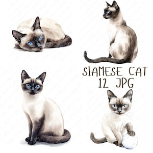 12 cliparts chat siamois aquarelle, chats siamois espiègles, clipart chat mignon, clipart chat imprimable pour travaux manuels en papier, téléchargement JPG de haute qualité