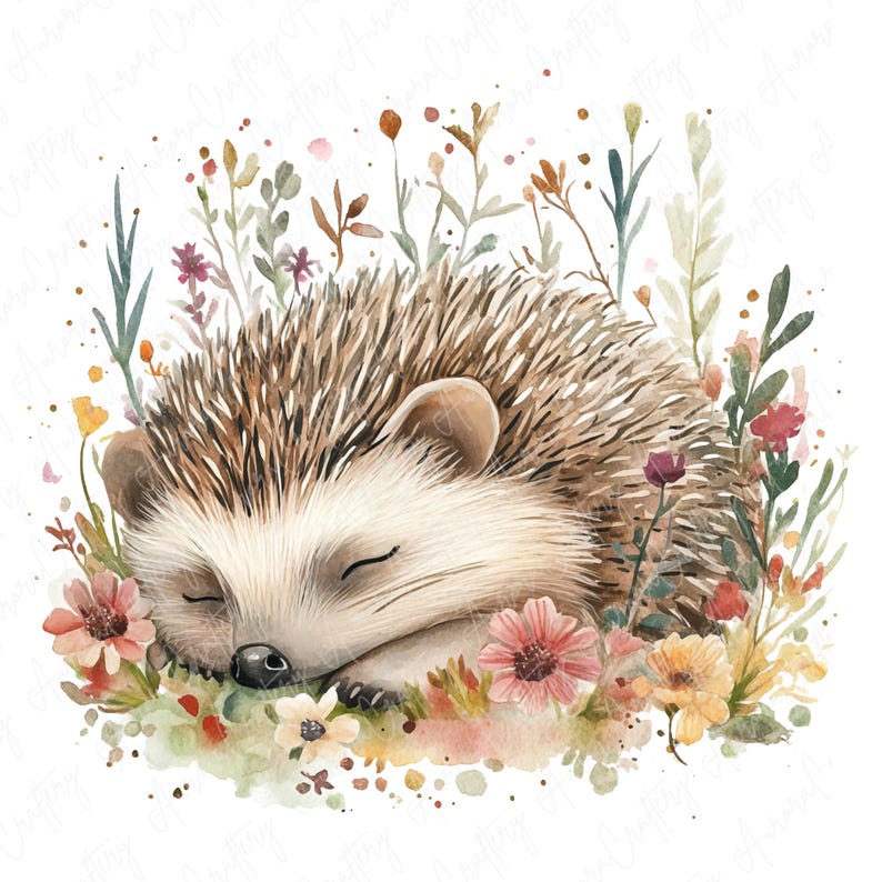 A collection of 9 watercolor hedgehog clipart images, featuring hedgehogs in floral woodland settings, perfect for nursery decor and woodland-themed projects.