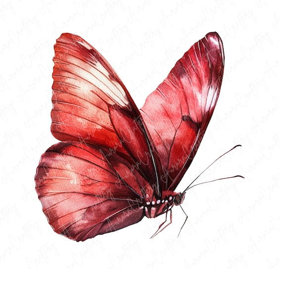15 Watercolor Red Butterfly Clipart | Bold Butterfly Illustrations