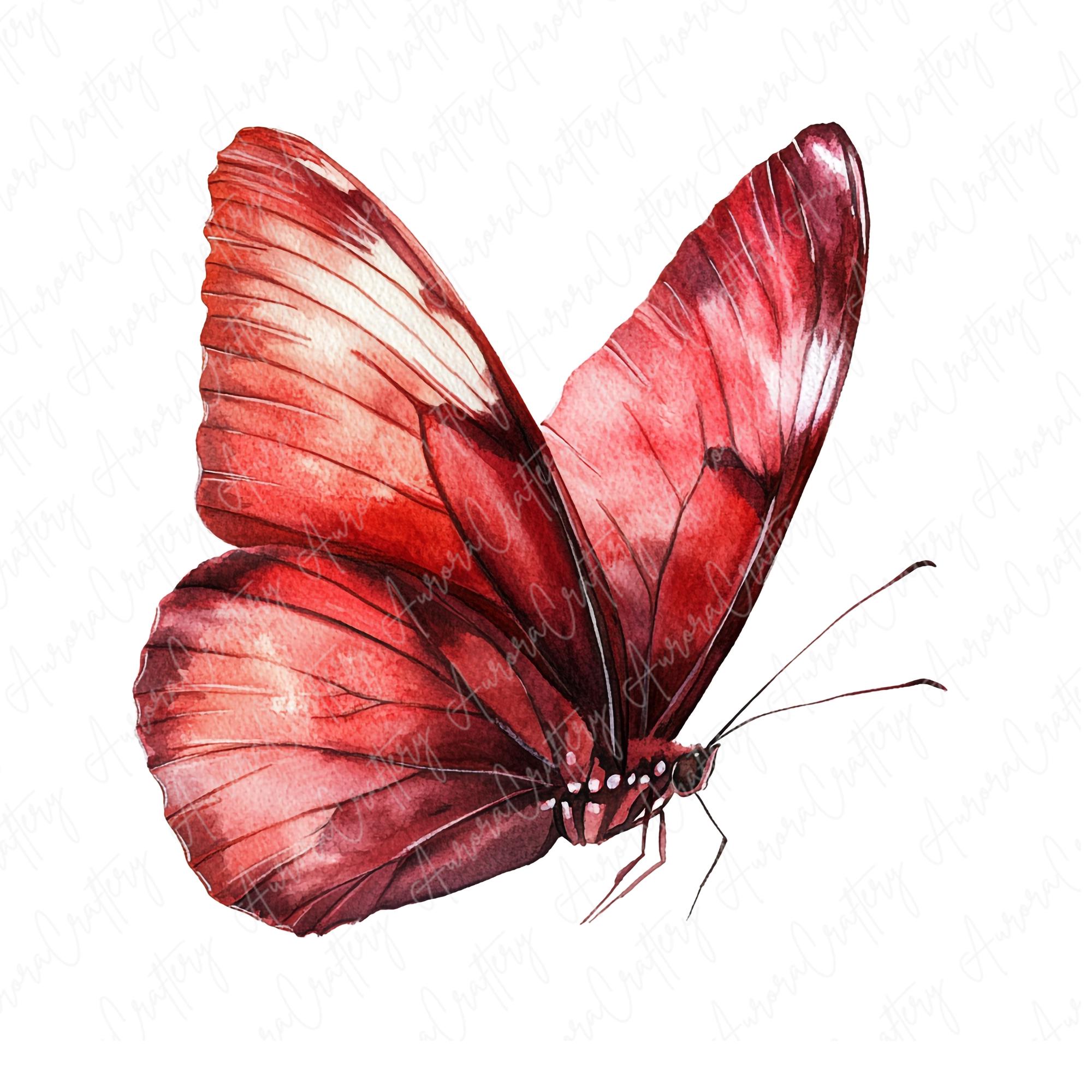15 Watercolor Red Butterfly Clipart | Bold Butterfly Illustrations
