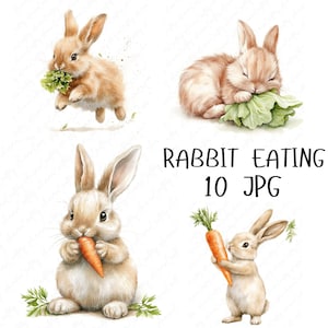 10 aquarel konijn eten clipart, schattige konijntje eten wortel en sla, schattige kwekerij clipart baby konijntje JPG, hoge kwaliteit JPG download