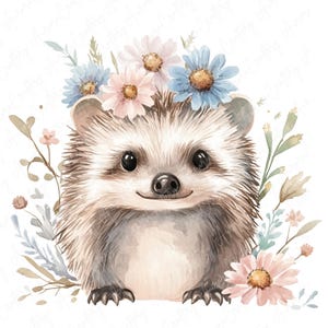 A collection of 9 watercolor hedgehog clipart images, featuring hedgehogs in floral woodland settings, perfect for nursery decor and woodland-themed projects.