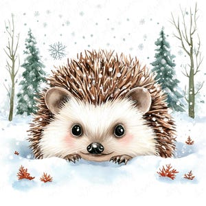 9 Clipart de ouriço de inverno em aquarela, clipart de animais da floresta, clipart de ouriço nevado, artesanato de papel com animais festivos, JPG de alta qualidade