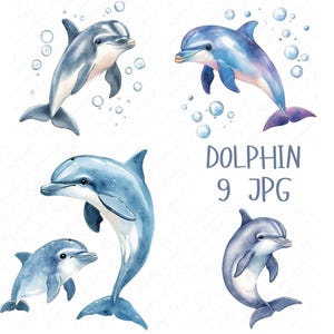 9 Watercolor Dolphin Clipart, Ocean Clipart, Cute Dolphin Clipart, Printable Sea Animal Clipart for Paper Crafts, High Quality JPG Download