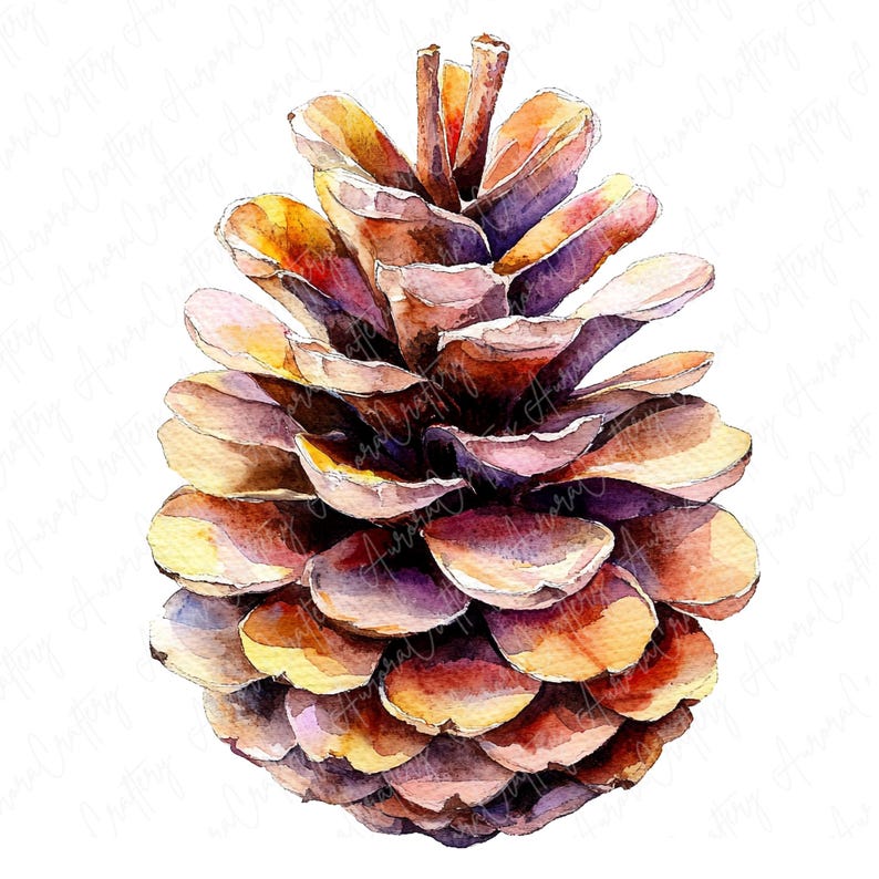 A collection of watercolor pinecones, capturing natural details and textures, perfect for fall and winter crafting, invitations, and seasonal decor.