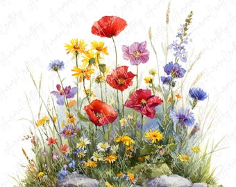 9 Watercolor Wildflower Meadow Clipart, Red Poppies, Yellow Daisies, Purple and Blue Blossoms, High-Quality JPG Download