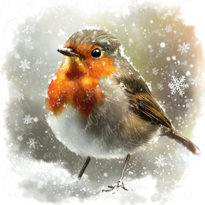 8 imágenes prediseñadas de acuarela de petirrojo de invierno, imágenes prediseñadas de aves del bosque festivas, animales del bosque, imágenes prediseñadas de aves nevadas para manualidades, descarga JPG de alta calidad